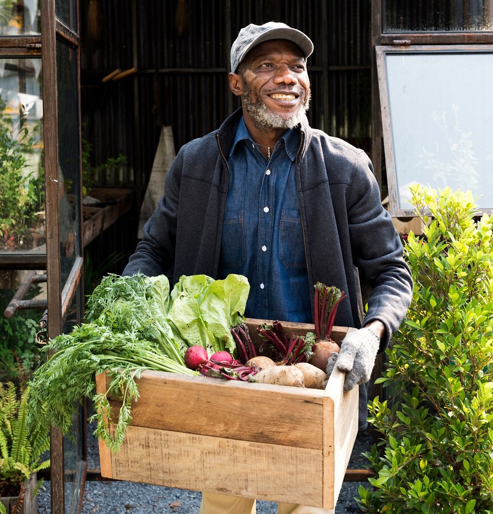 Adult Farmer Man Holding Fresh Local Organic Vegetable