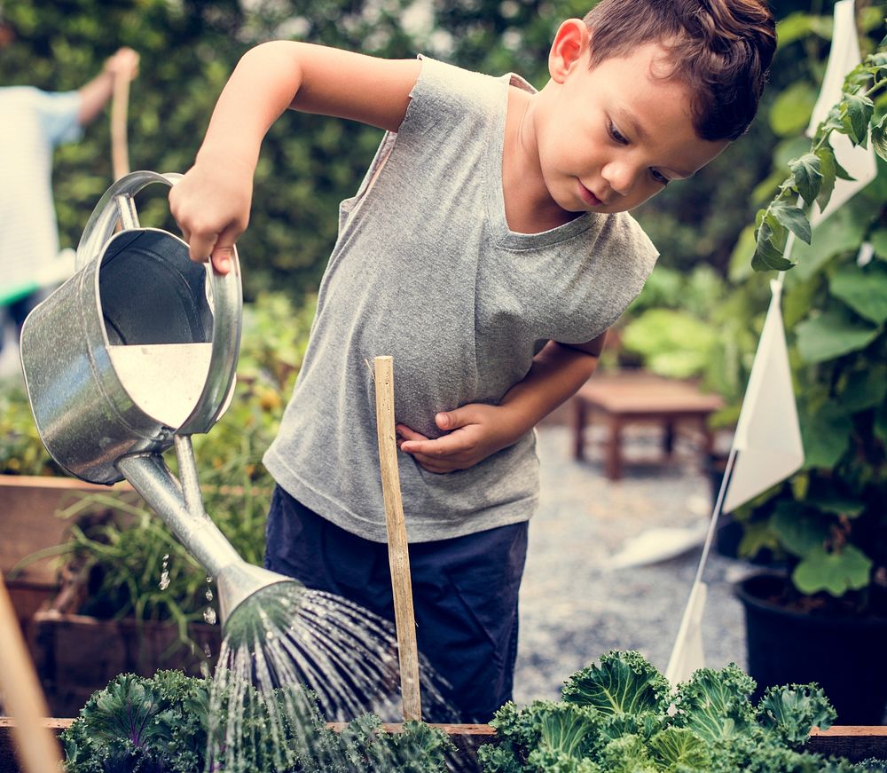 Little Boy Watering Vegetable at School Farm