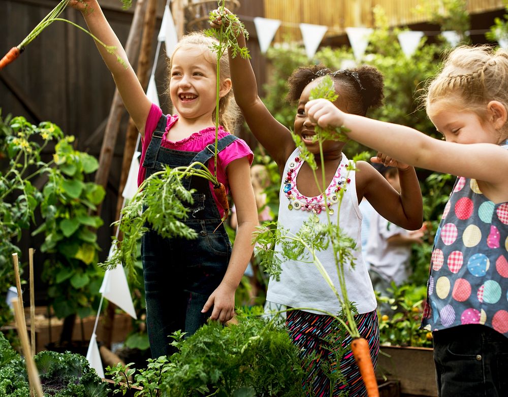 Group of Diverse Kids Learning Environment at Vegetable Farm