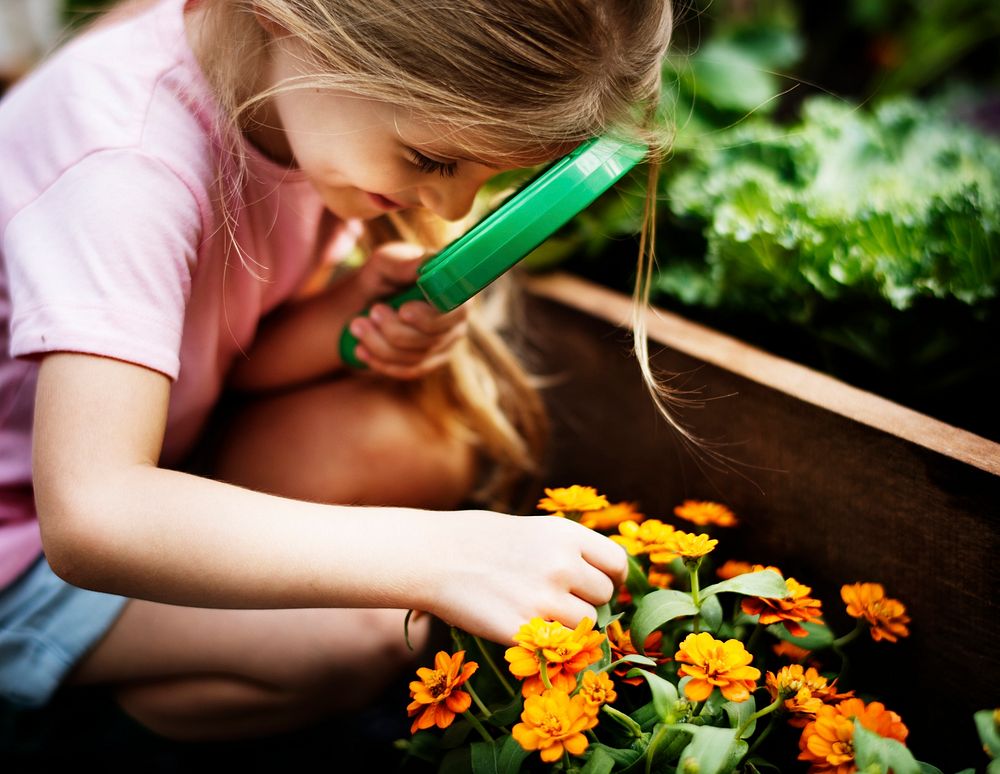 Little girl learning plant biology flower