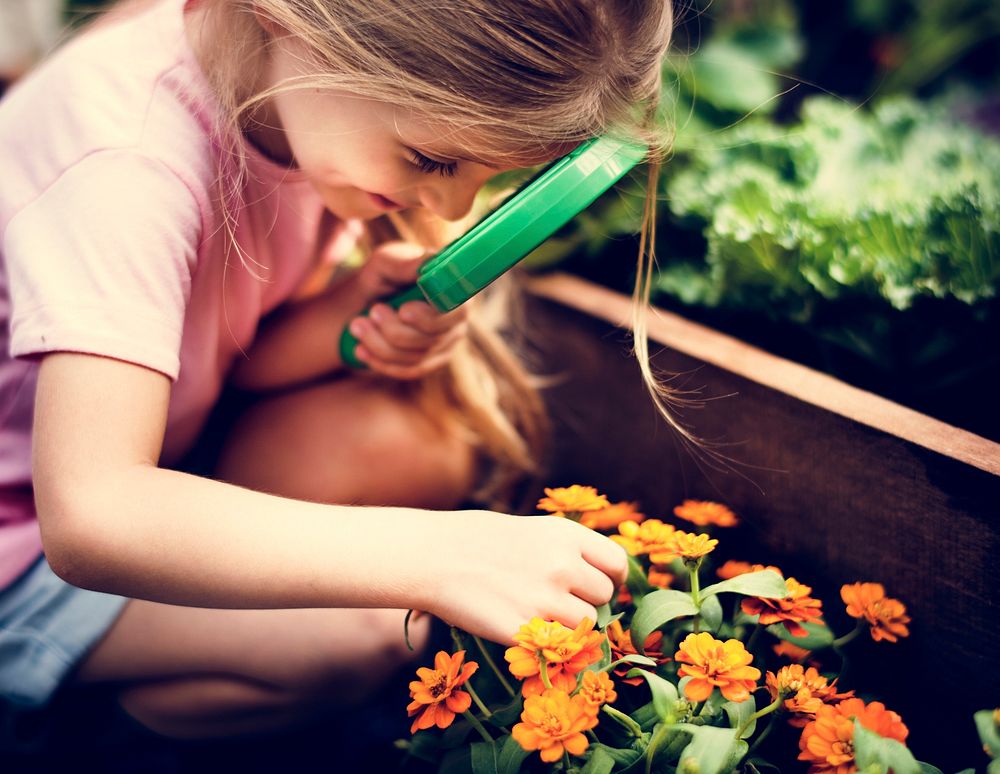 Little girl learning plant biology flower