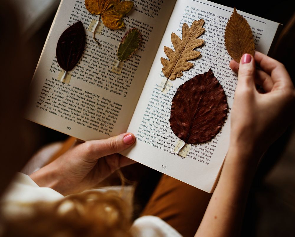 Pressed leaves on book pages