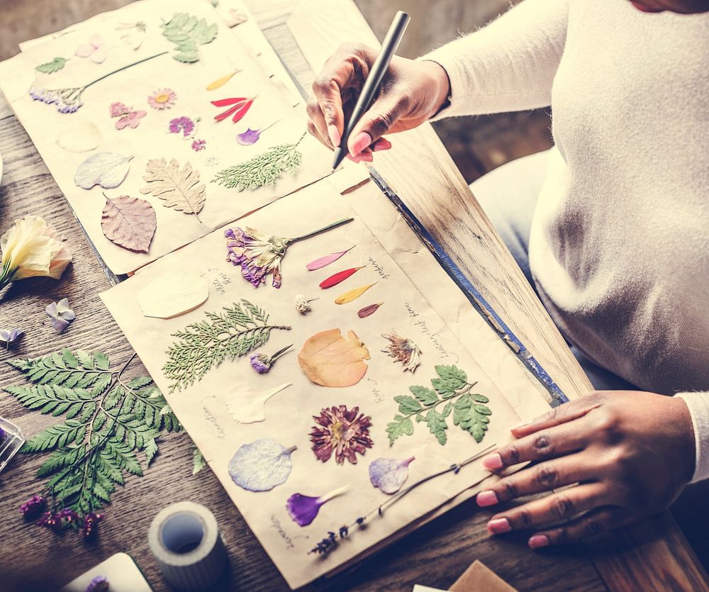 Hands Writing Detail of Dried Flowers Collection in Notebook Han