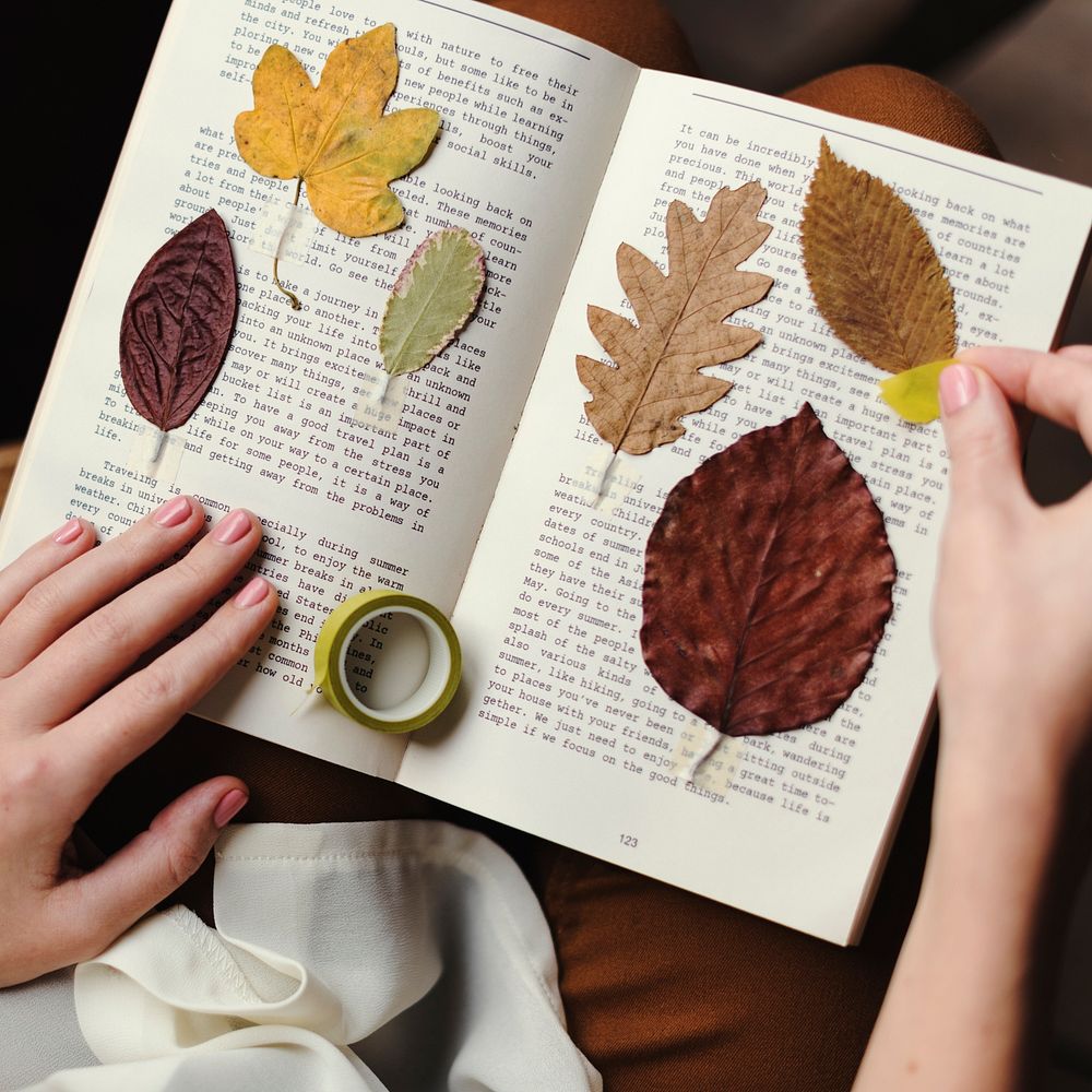 Hands Making Dried Flowers Collection in Book Handmade Work Hobby