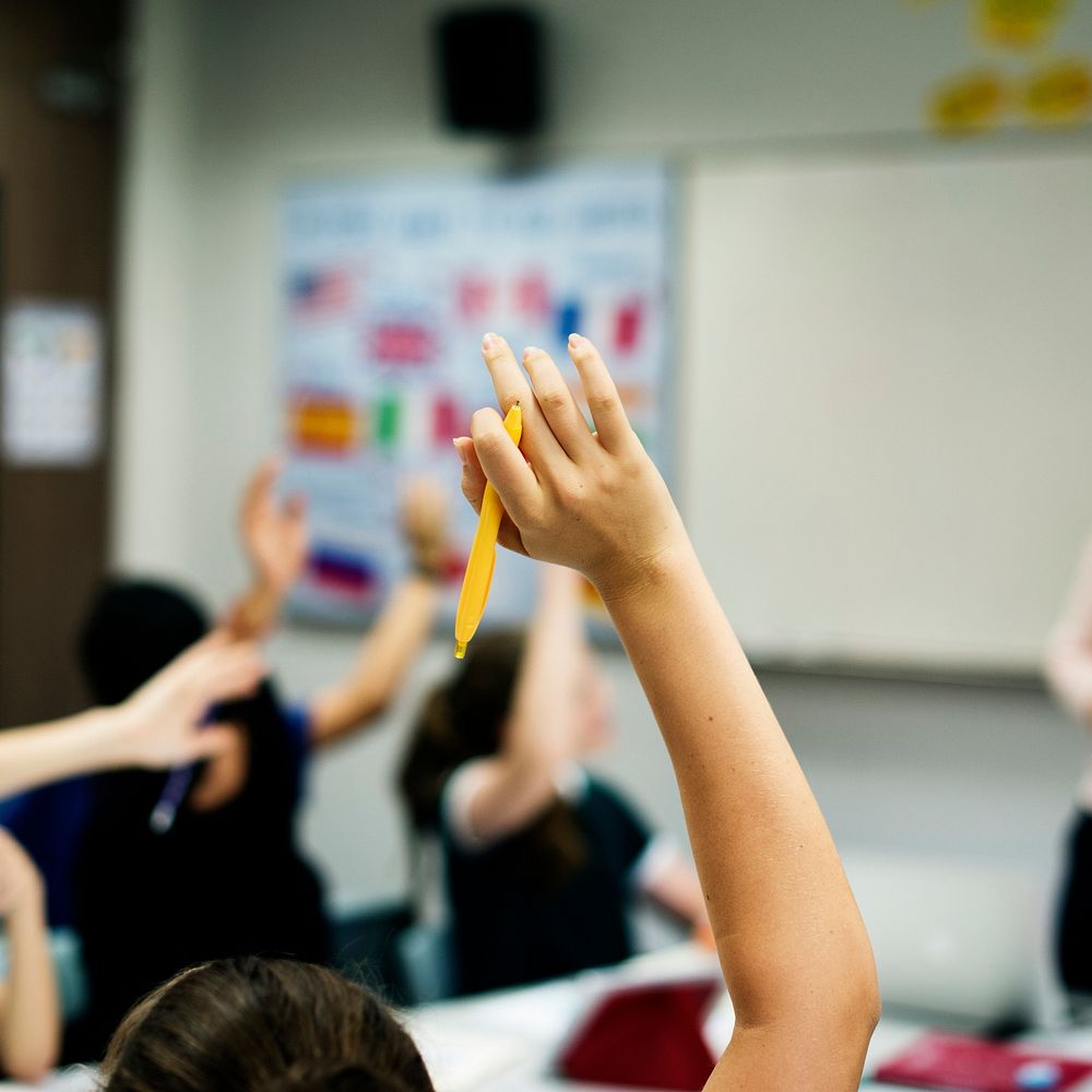 Group of student learning arms raised