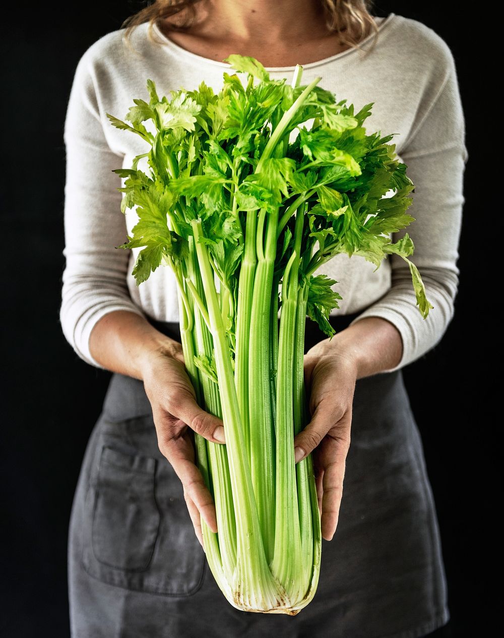 Closeup of hands holding fresh organic celery