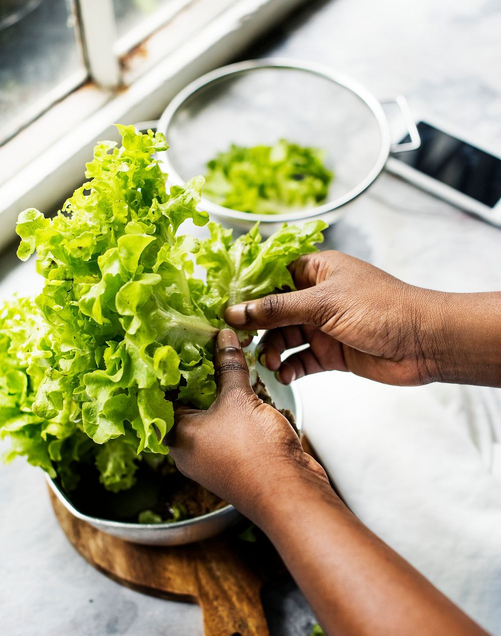 Closeup of hands holding organic green oak salad vegetable