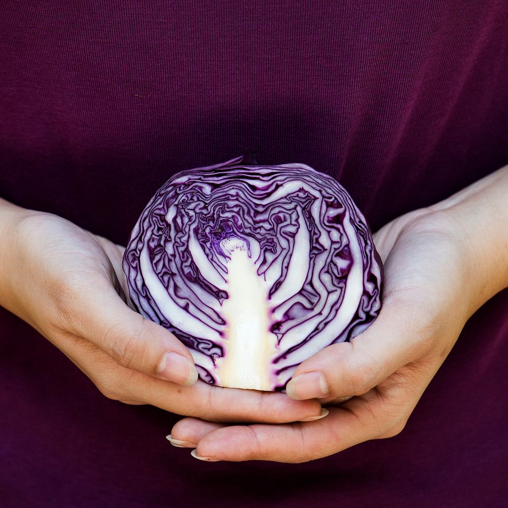 Closeup of hands holding fresh organic cabbage
