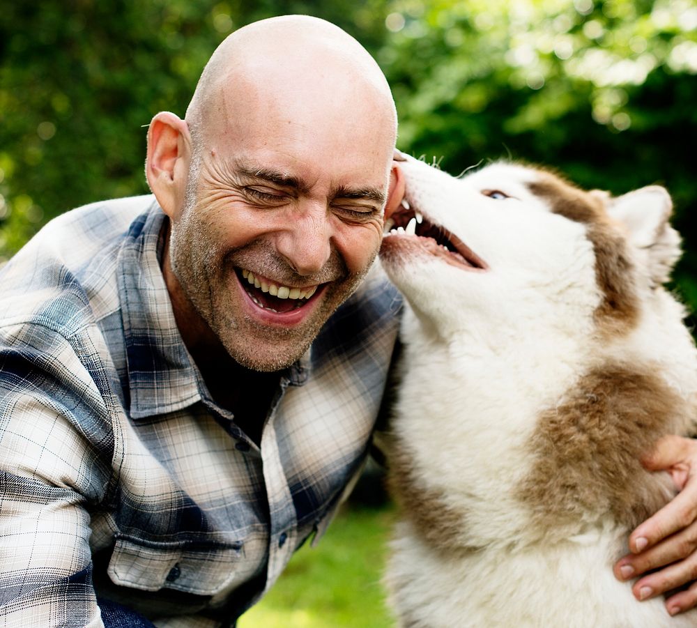 Closeup of senior man with siberian husky at backyard