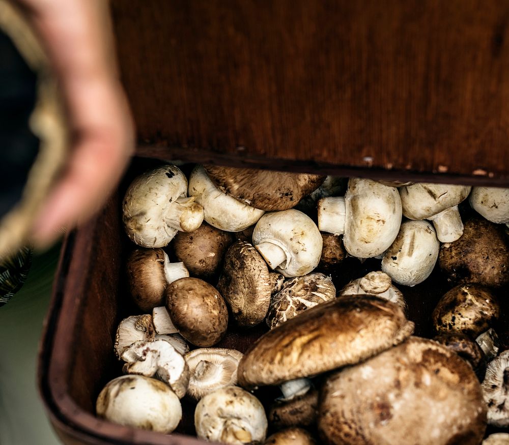 Closeup of various fresh mushrooms in wooden basket