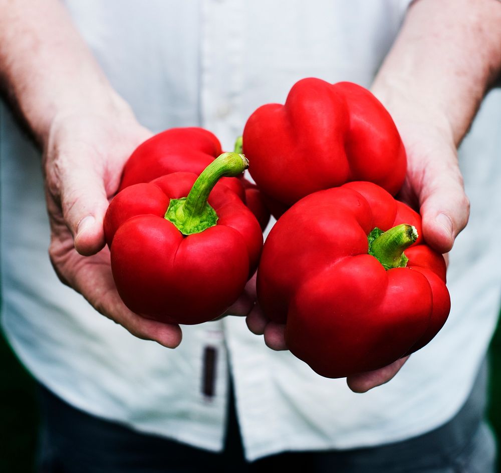 Hands holding fresh bell pepper