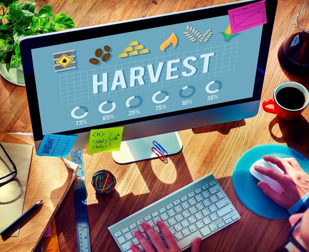 Harvest Agriculture Farmer Natural Nature Ripe Concept