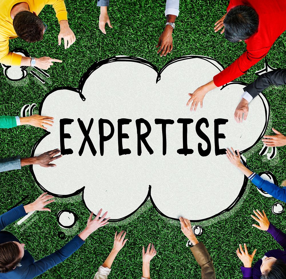 Expertise Expert Skill Ability Professional Concept