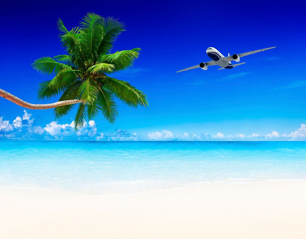 airplane and beach blue sky with palm tree.