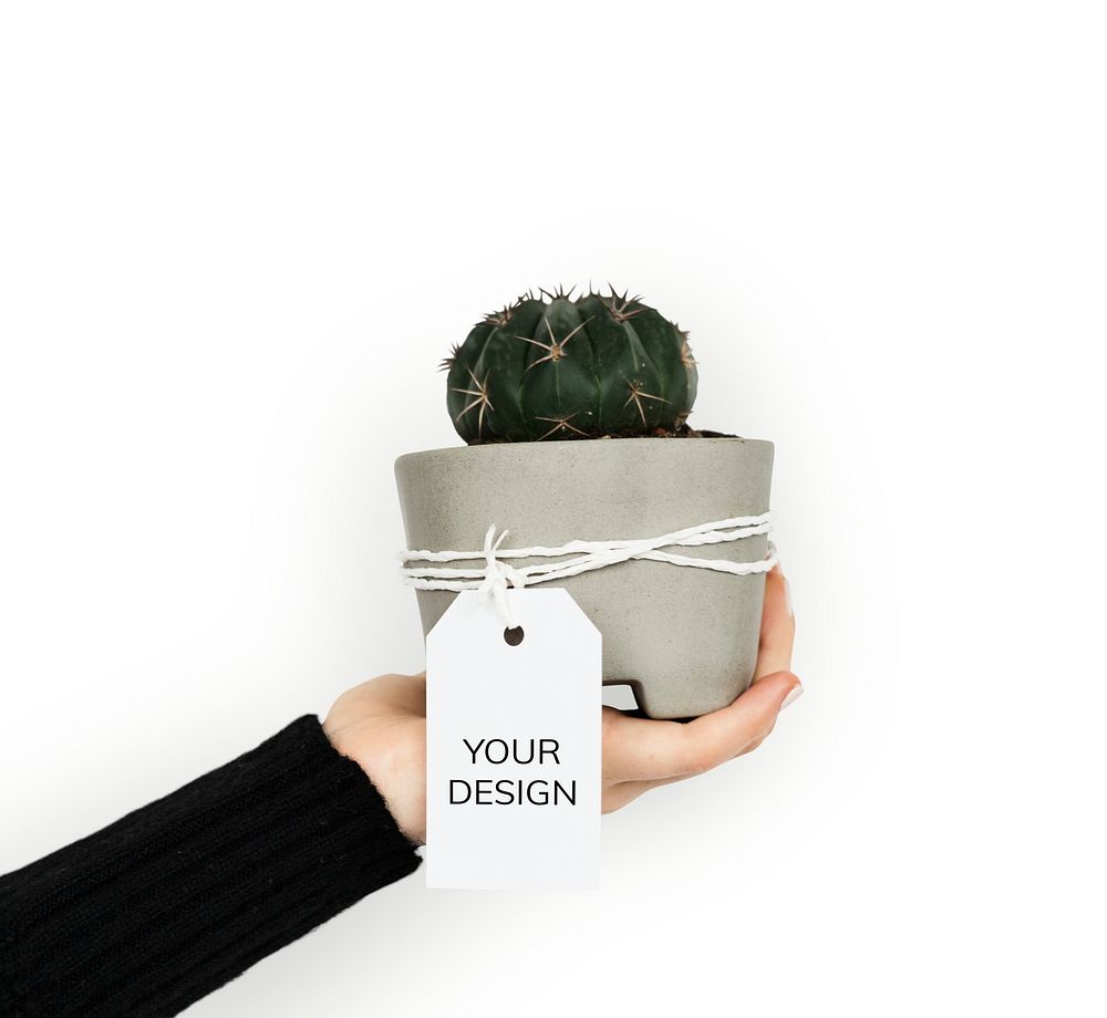 Love Design Sign Symbol Gift Plant Cactus