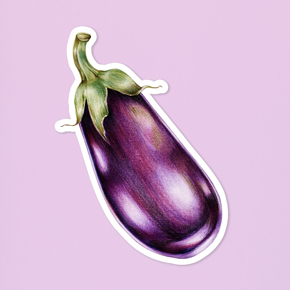 Fresh eggplant vegetable psd illustration botanical hand drawn