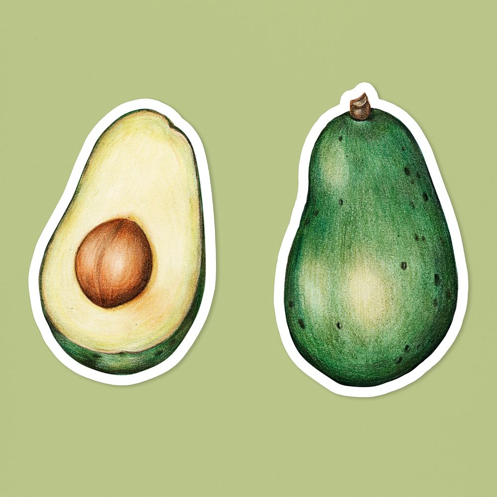 Fresh avocado illustration psd botanical drawing