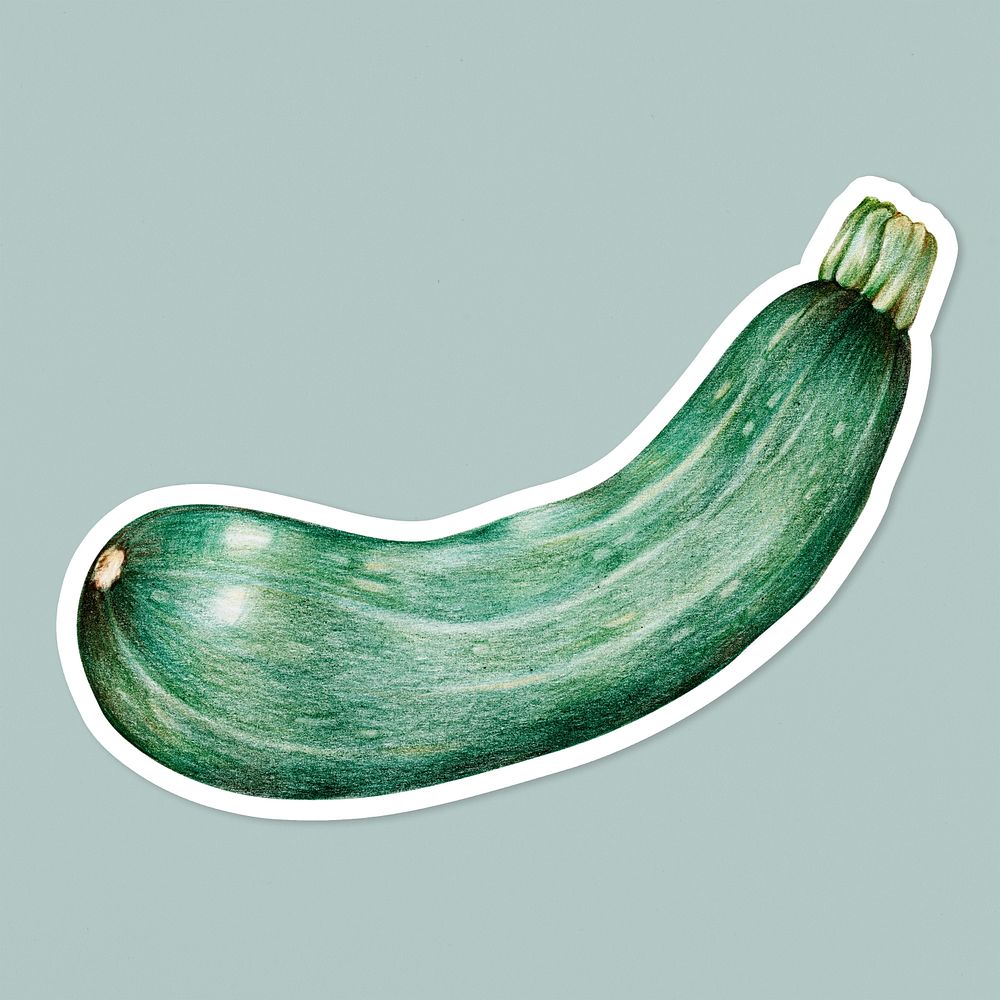 Vintage green zucchini sticker psd illustration