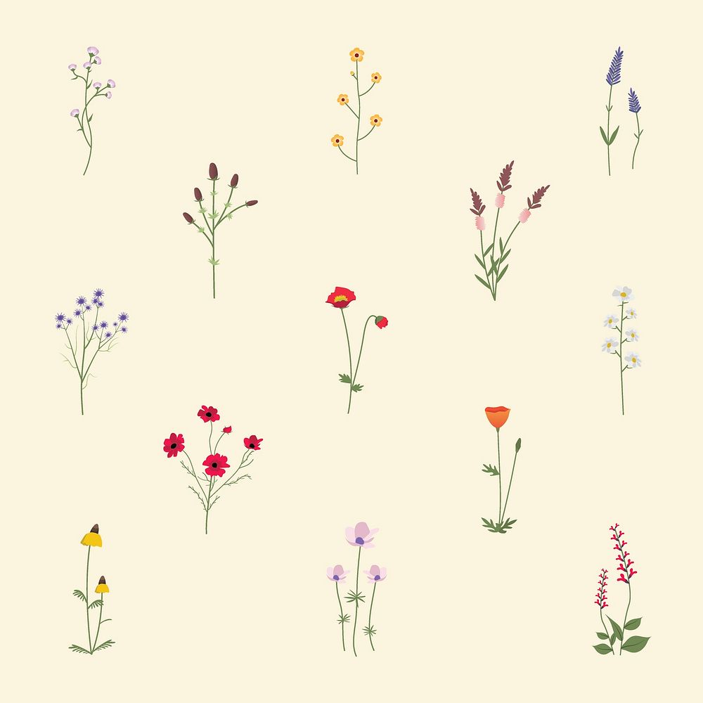 Illustrated wild flowers