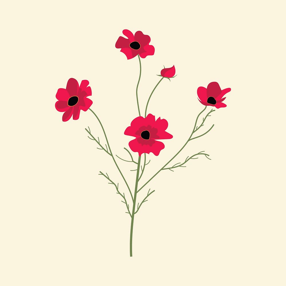 Red poppy flower minimal illustration