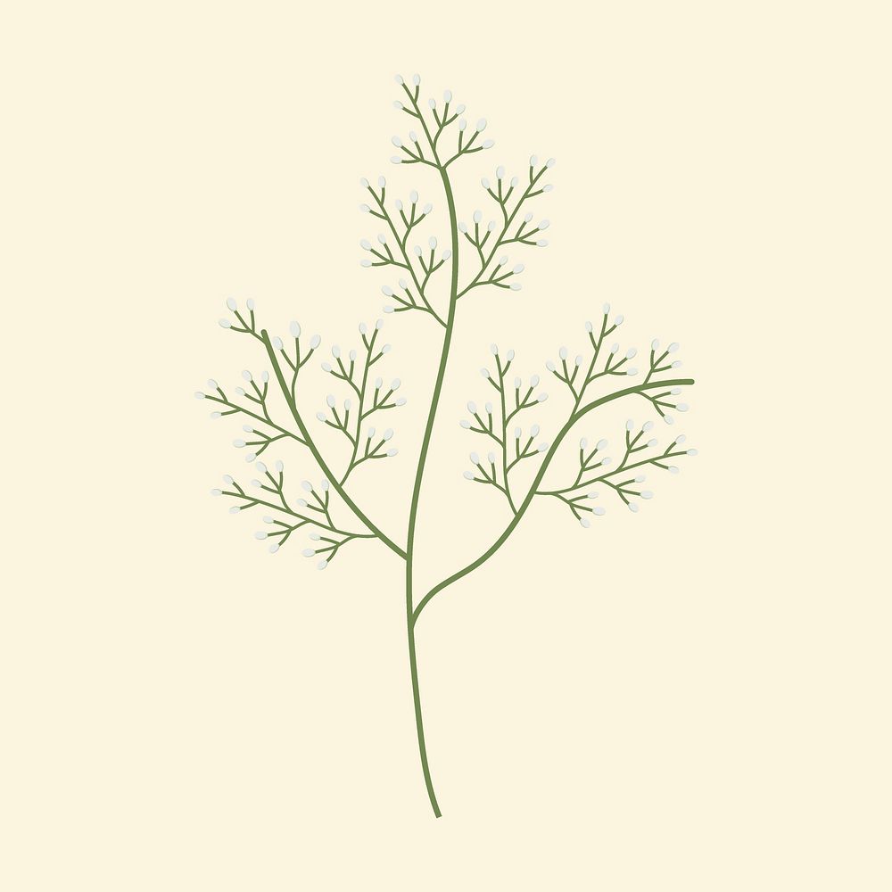 Wild flower minimal illustration