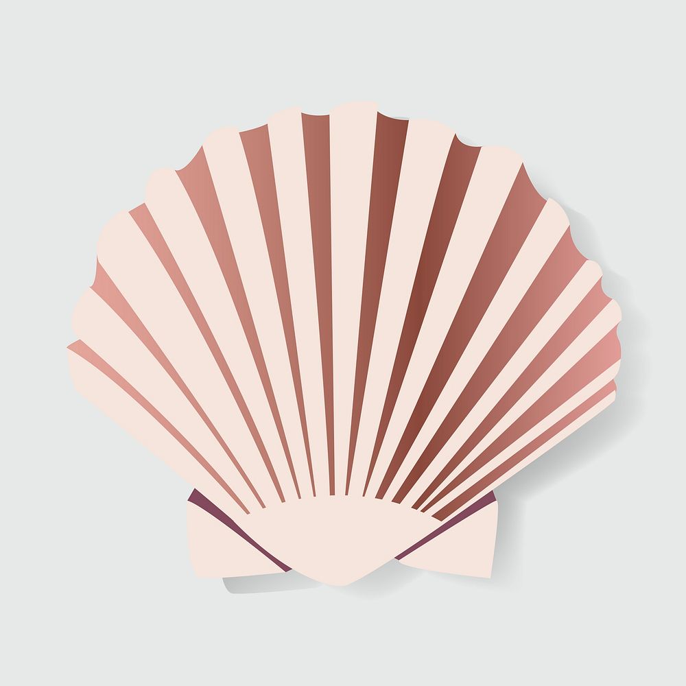 Seashell Vectot Illstration Graphic Design