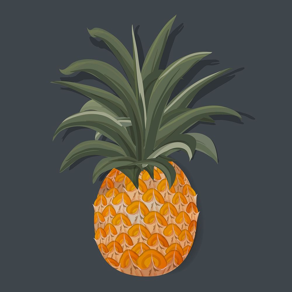 Fresh Pineapple Tropical Fruit Vector Illustration