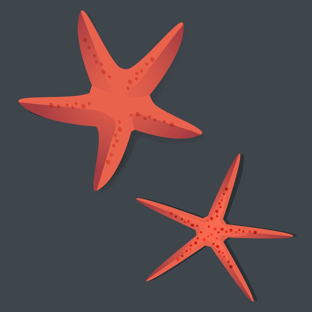 Two Red Starfish Vector Illustrarion