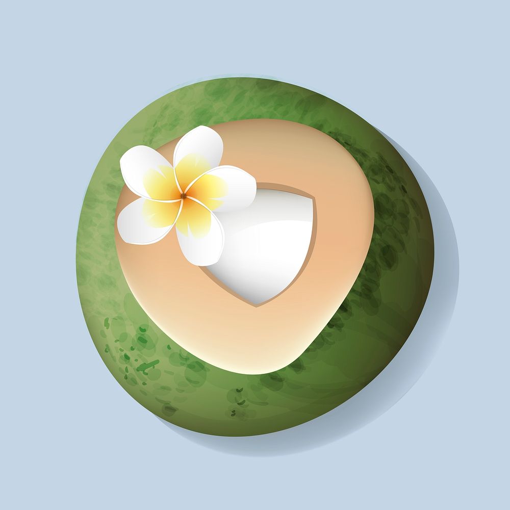 Fresh Cut Open Coconut  with Flower Vector Illustration