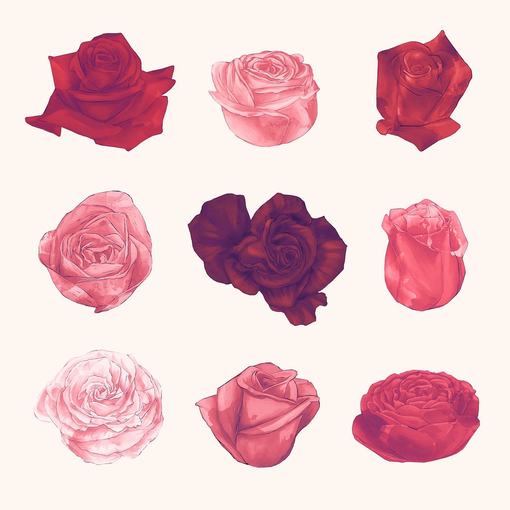 Illustration of roses isolated on white background