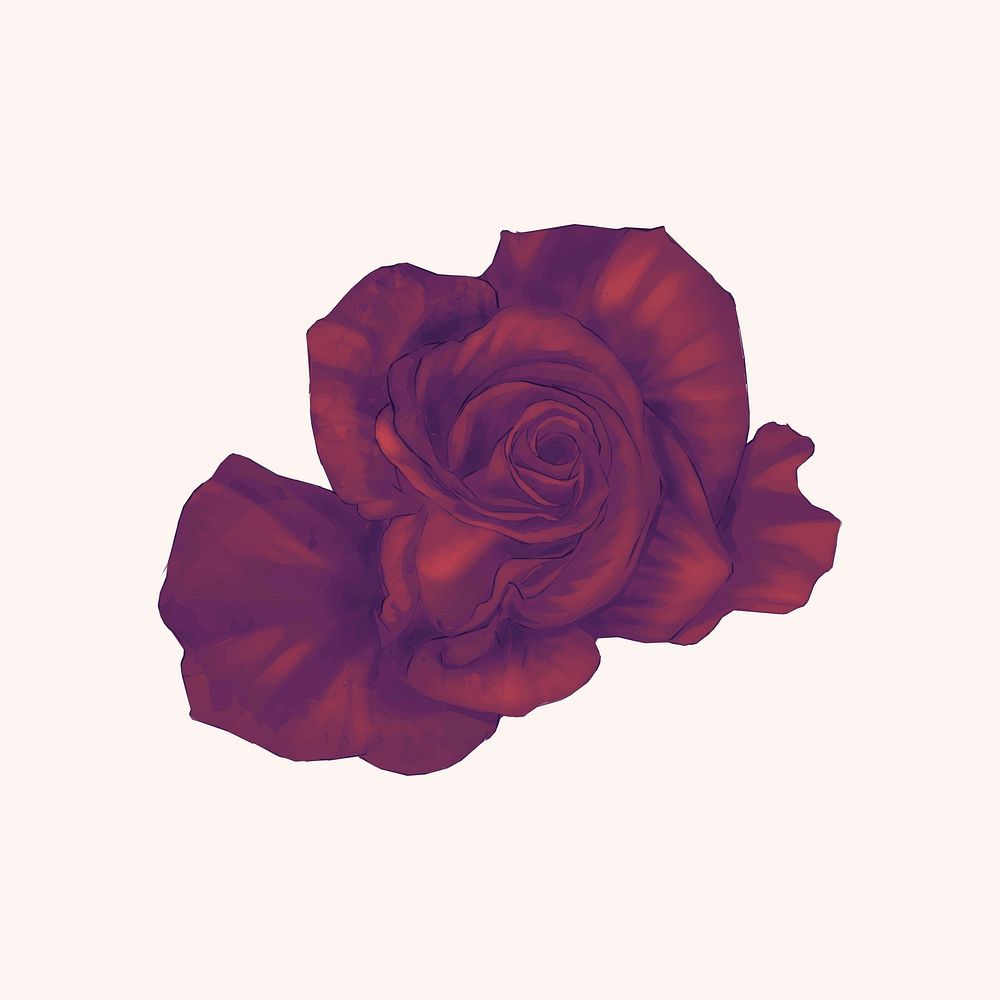 Illustration of drawing red rose flower