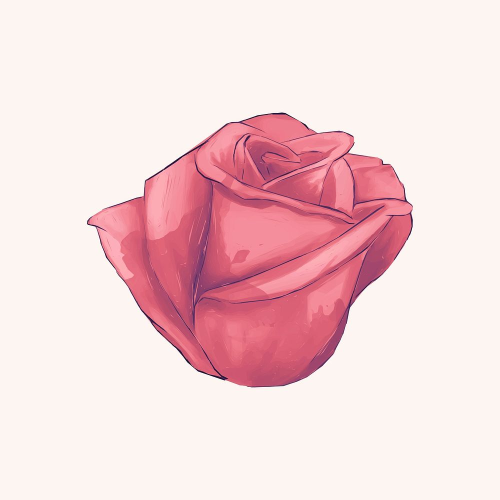 Illustration of drawing red rose flower