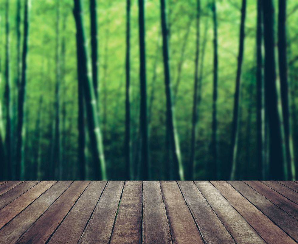 Wooden Floor Bamboo Forest Shoot Serenity Nature Concept