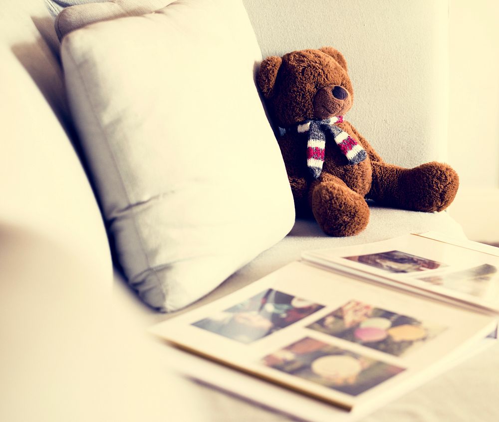 Sofa Bear Doll Leisure Photo Album Cozy