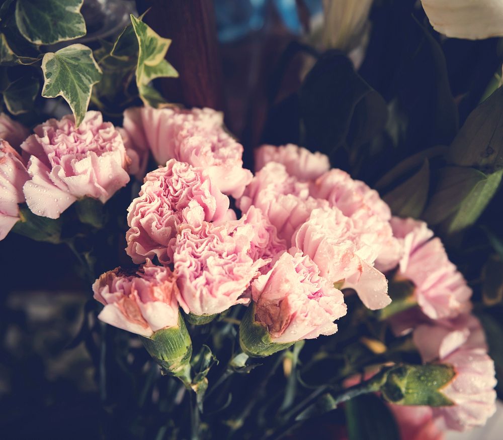 Carnation florwer blooming decoration arrangement