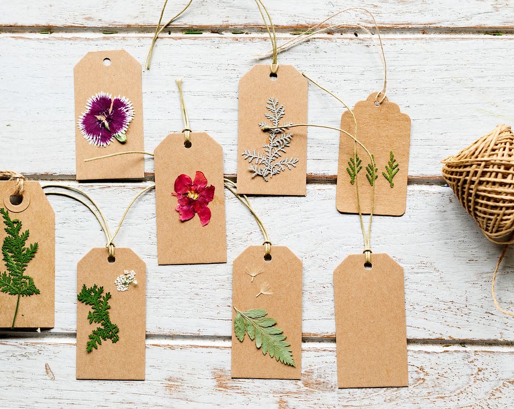 Dried Flowers Leaves on Paper Tag Decorative