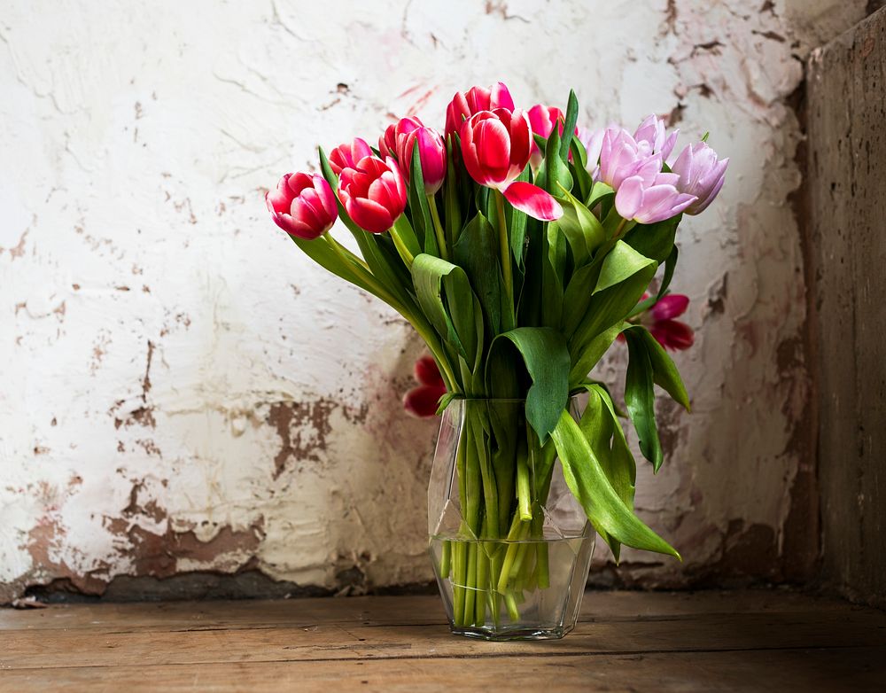 Fresh Tulips Flowers Arrangement Decorative in Vase