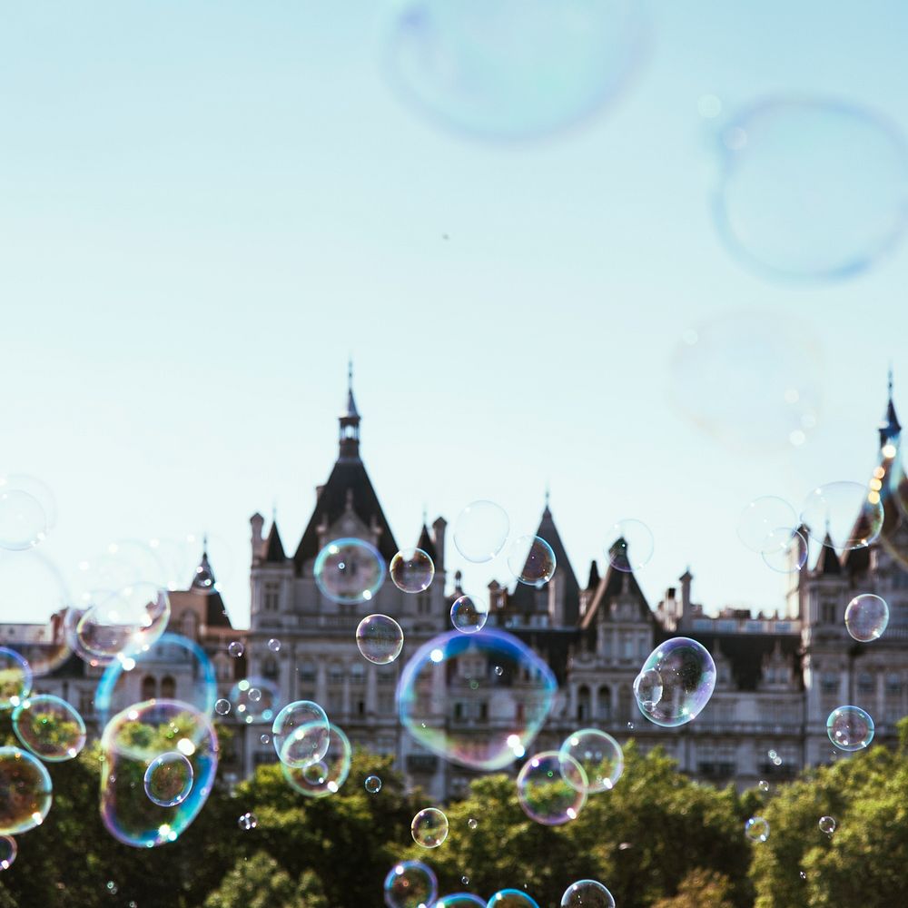 Soap bubble and parliament building