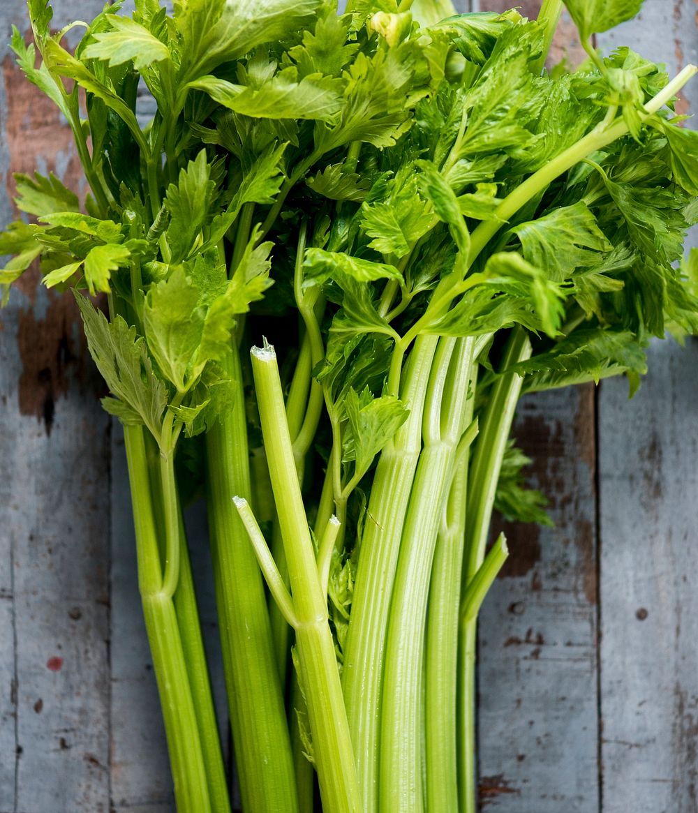 Green fresh celery on a wooden floor