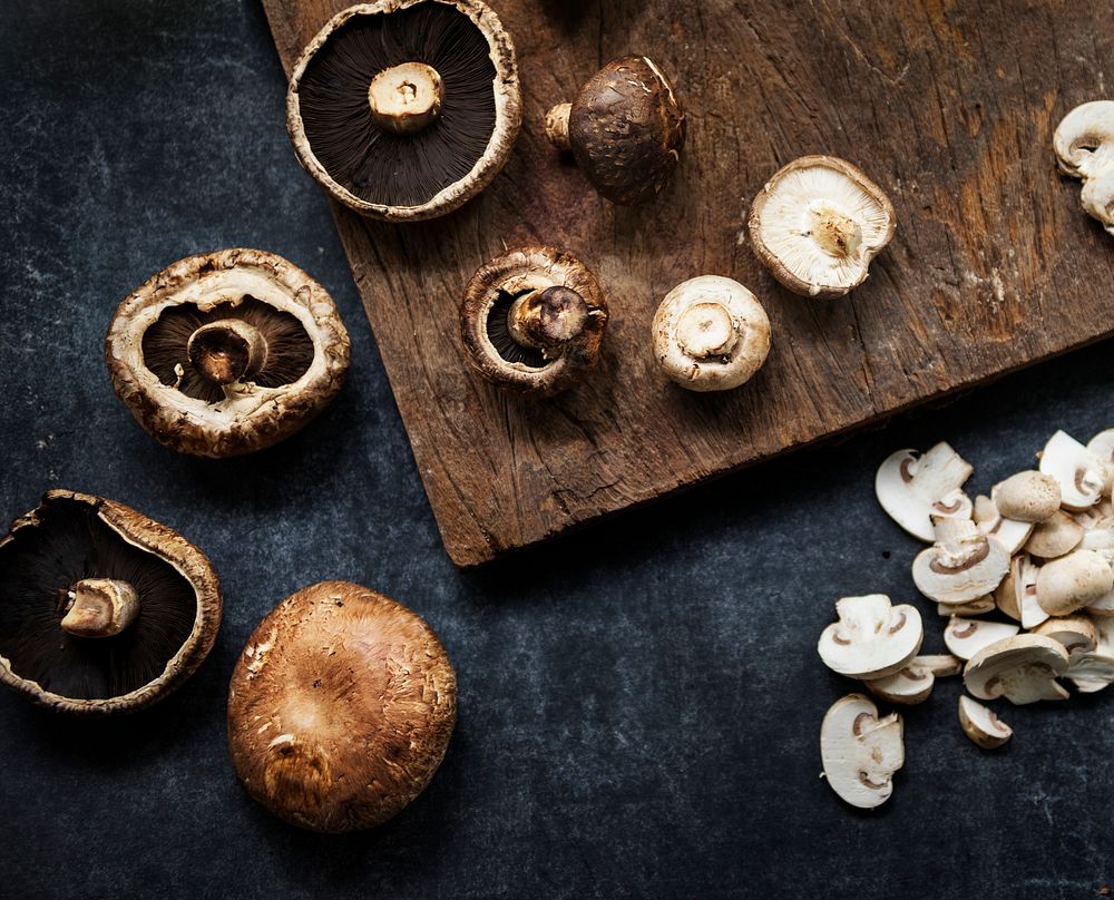 Different varieties of mushrooms