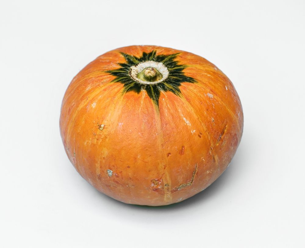 Closeup of fresh pumpkin on white background