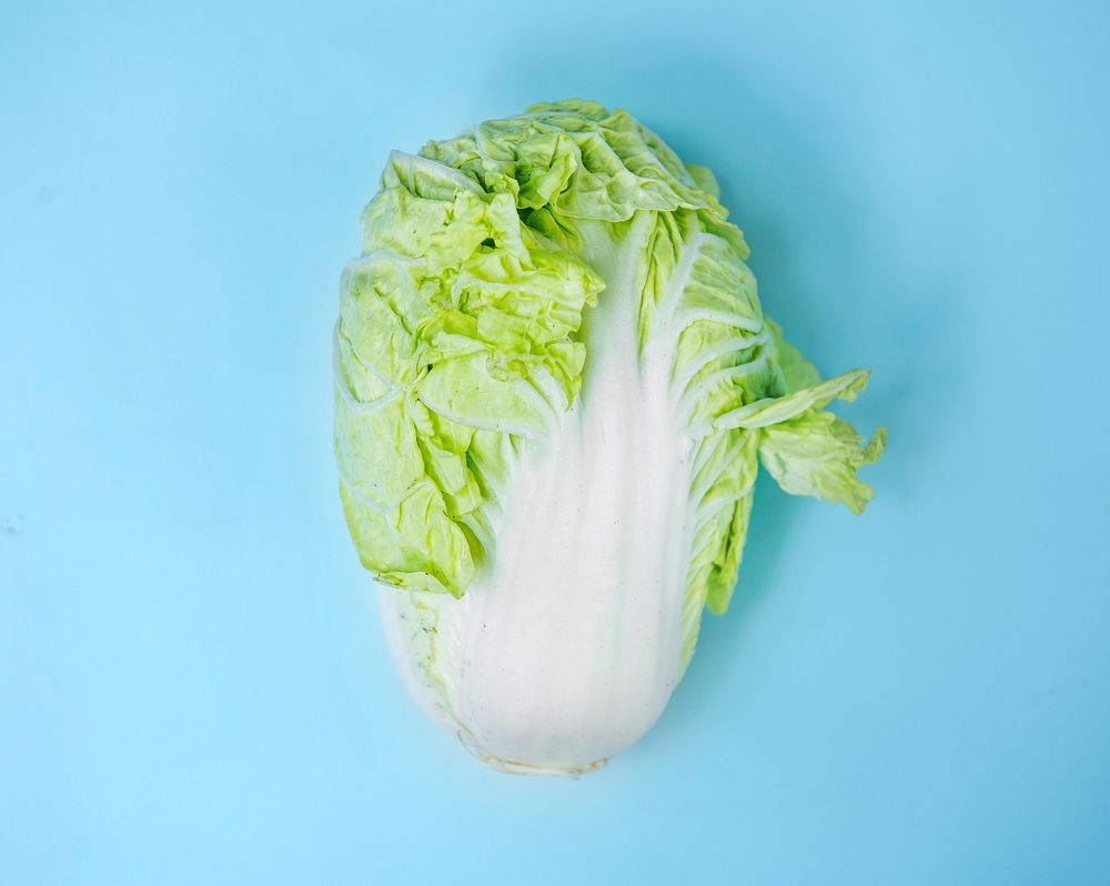 Aerial of chinese cabbage on blue background