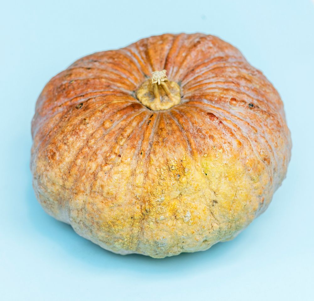 Raw natural organic fresh pumpkin