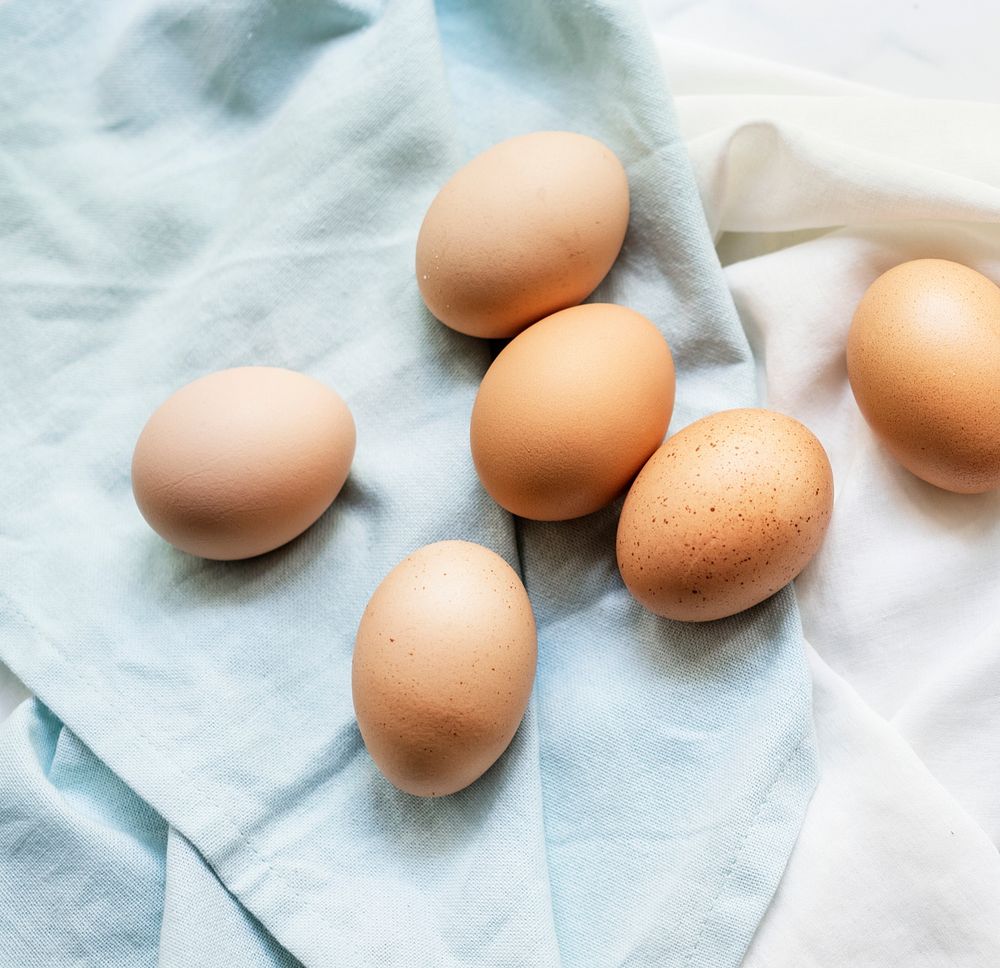 Closeup of fresh organic hen eggs