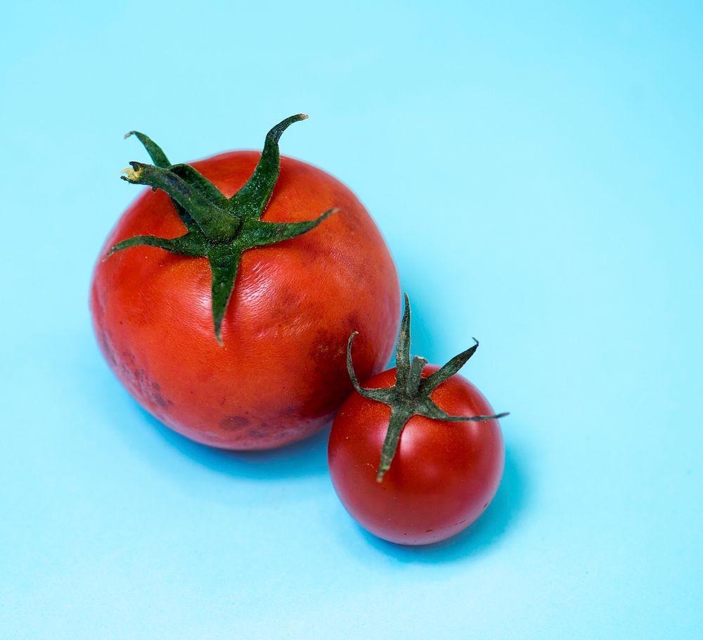 Two organic red tomatos on the background
