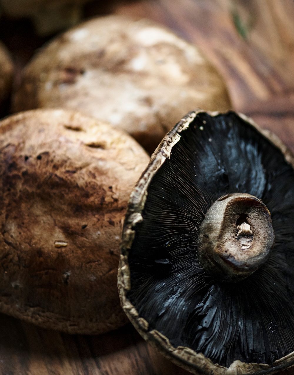 Fresh portobello mushroom Photo rawpixel