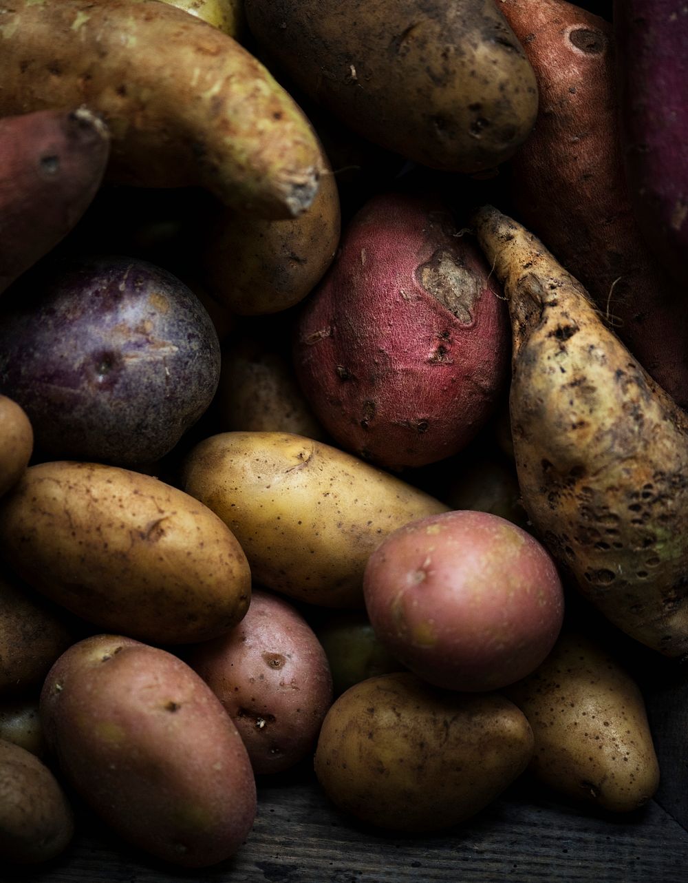 Closeup of fresh organic potatoes