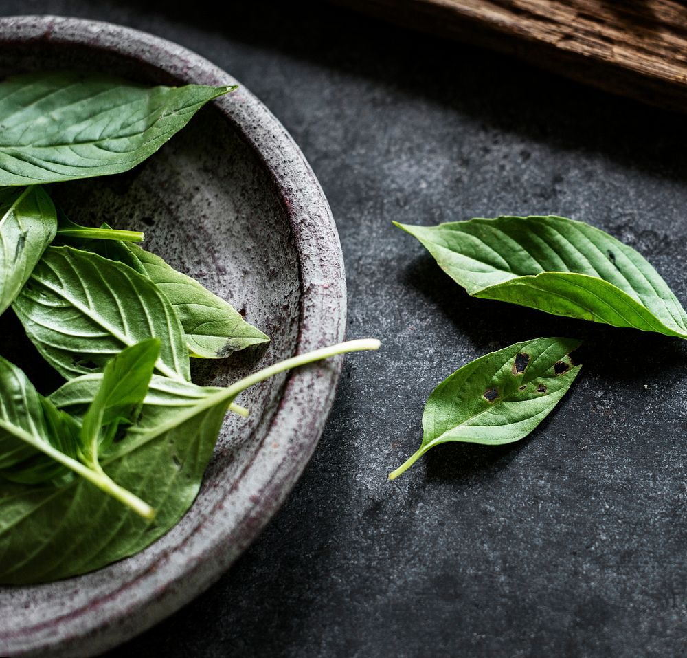 Fresh basil leaves asian herb