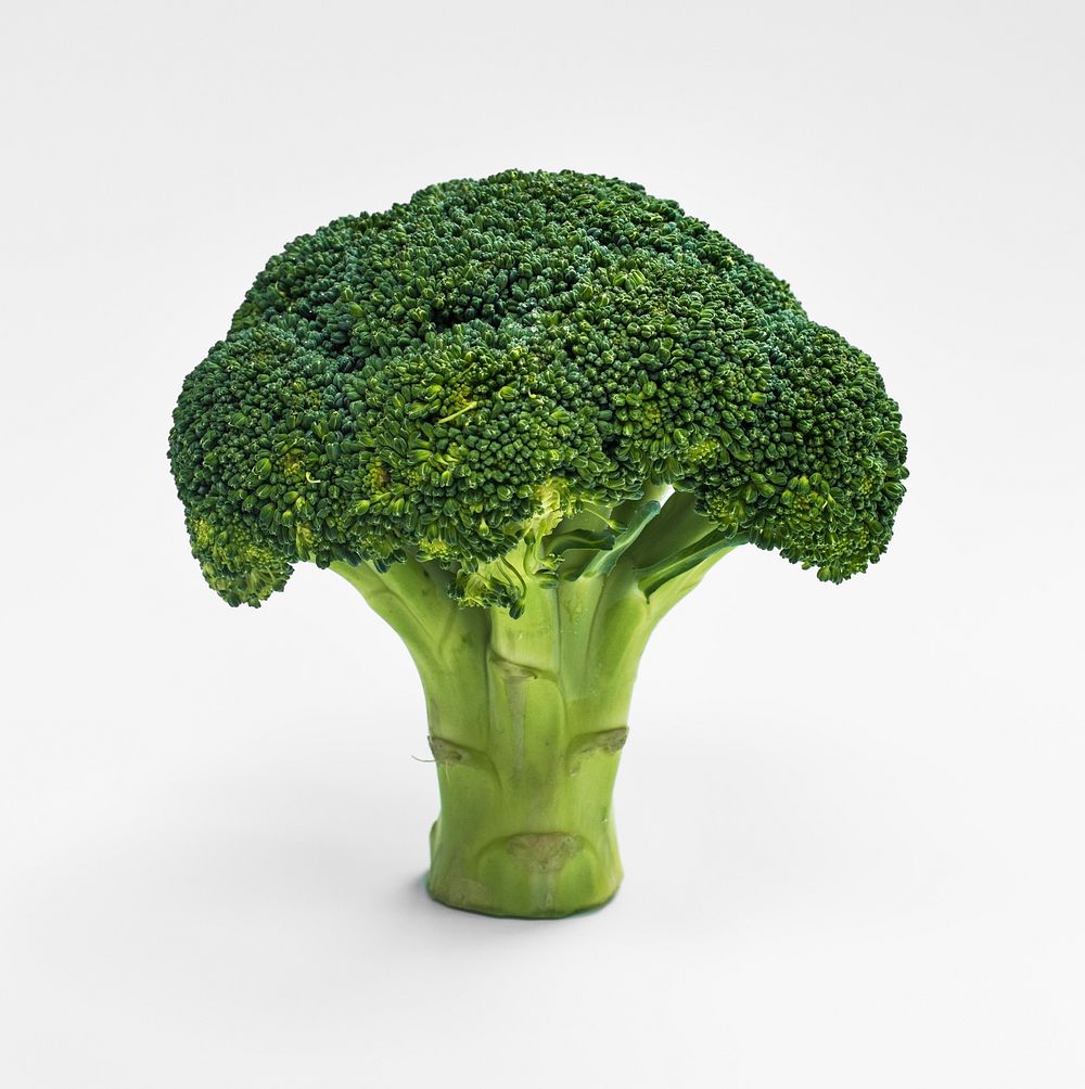 Closeup of fresh real broccoli isolated on white