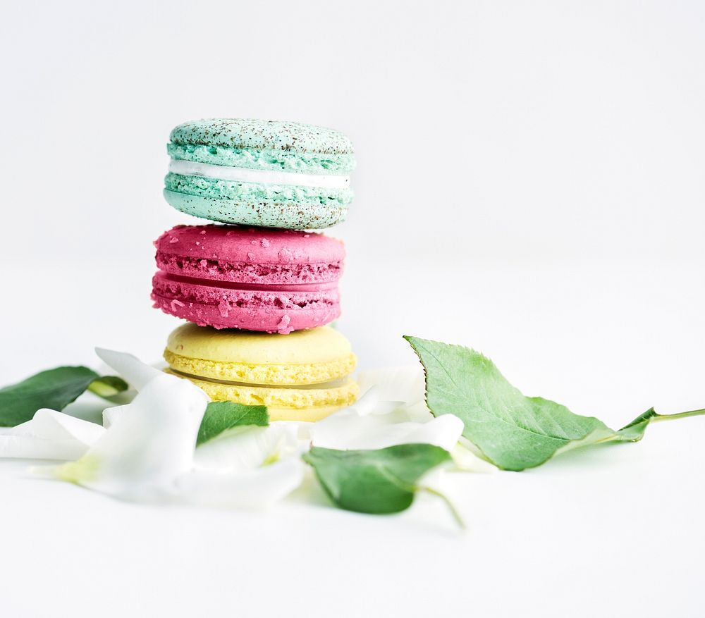 Stack macaroon patel and leaves
